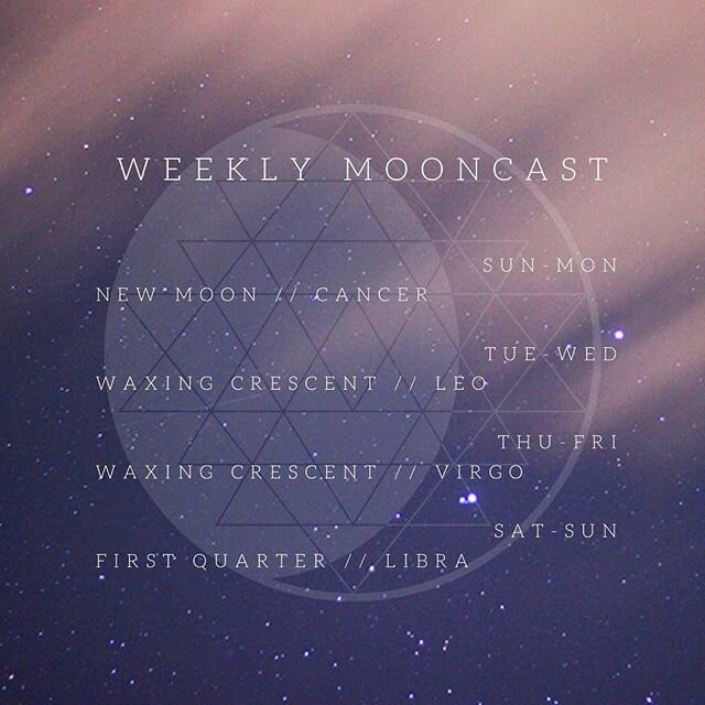 #weeklymooncast 🌑🌒🌓
⠀⠀⠀⠀⠀⠀⠀⠀⠀
#mooncast #lunarforecast #newmoon #waxingmoon #waxingcrescent #firstquartermoon #moon #ritual #intentions #refine #visualize #alignedaction #cancermoon #leo #virgo #libra #lunarastrology #lunarasa #luna #rasa #lunarli