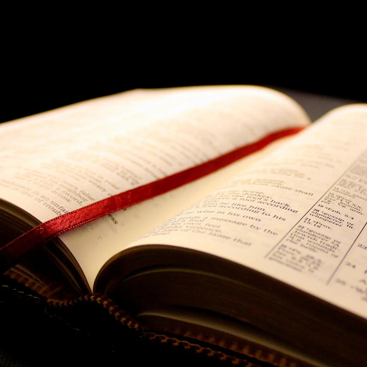 Bible.jpg