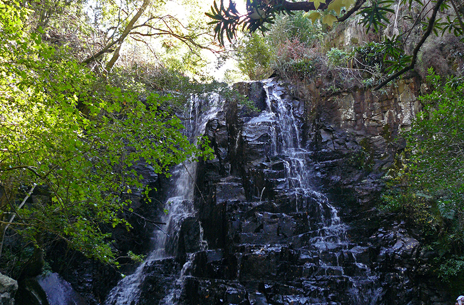Endless forests, a quaint village atmosphere and looming mountains: Hogsback, in South Africa's Eastern Cape, looks like it belongs in a J.R.R. Tolkien book. It's a perfect weekend escape if you're looking for rustic charm, quiet evenings by the fireside, and days spent exploring the woodlands. Here's what you can see and do in this charming South African village.