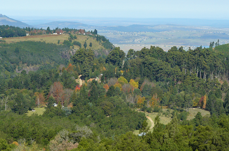 Endless forests, a quaint village atmosphere and looming mountains: Hogsback, in South Africa's Eastern Cape, looks like it belongs in a J.R.R. Tolkien book. It's a perfect weekend escape if you're looking for rustic charm, quiet evenings by the fireside, and days spent exploring the woodlands. Here's what you can see and do in this charming South African village.