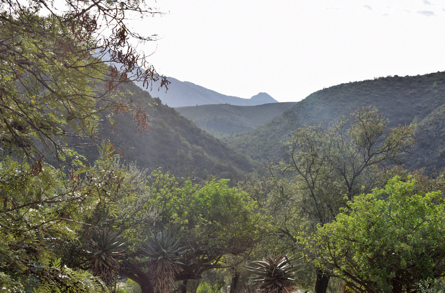 Klein Karoo view