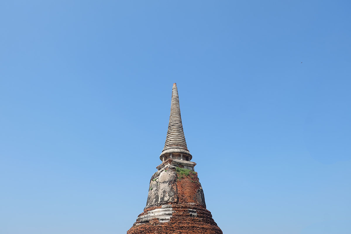 DSCF6338.jpg