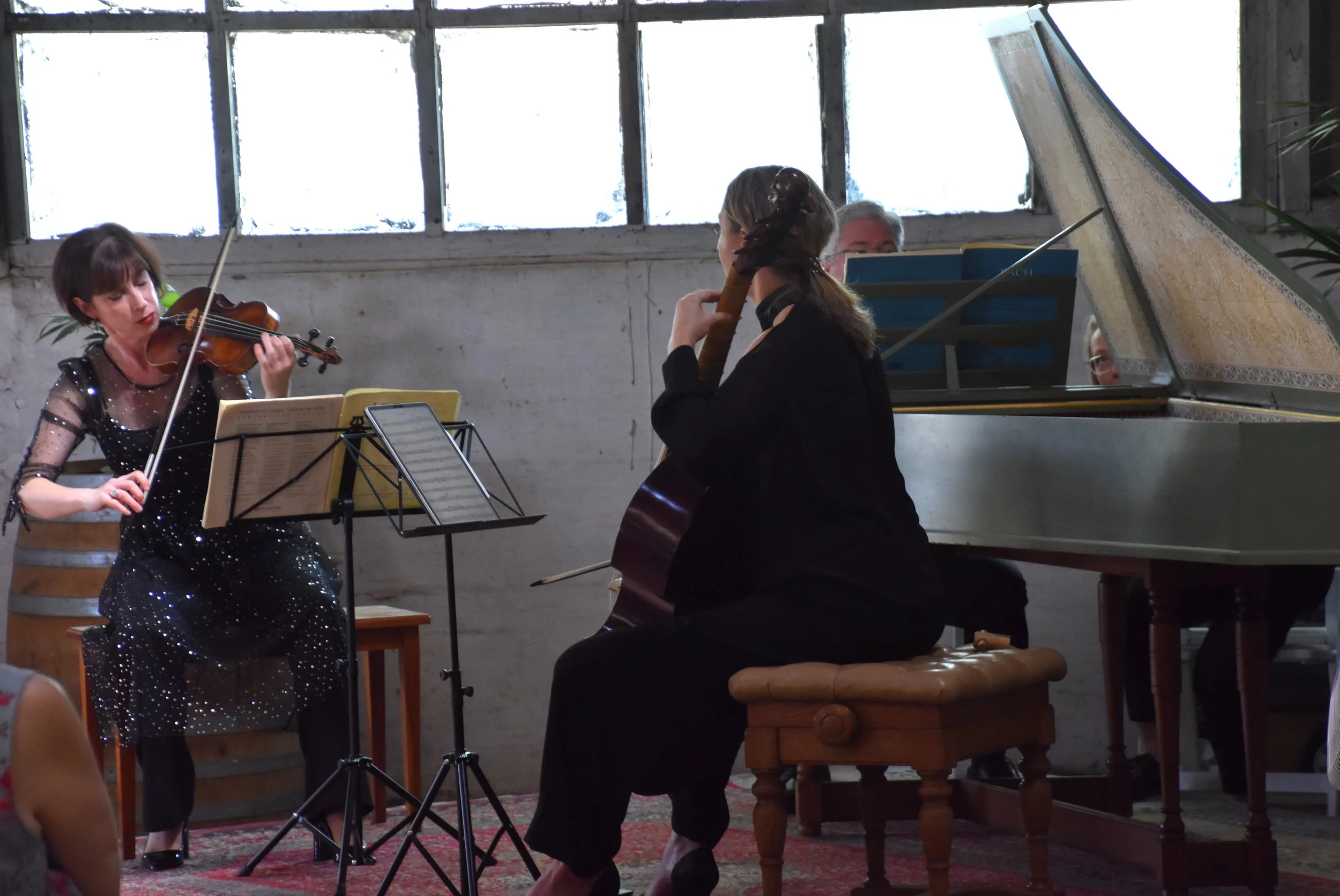 Copy of DSC_1510.JPG