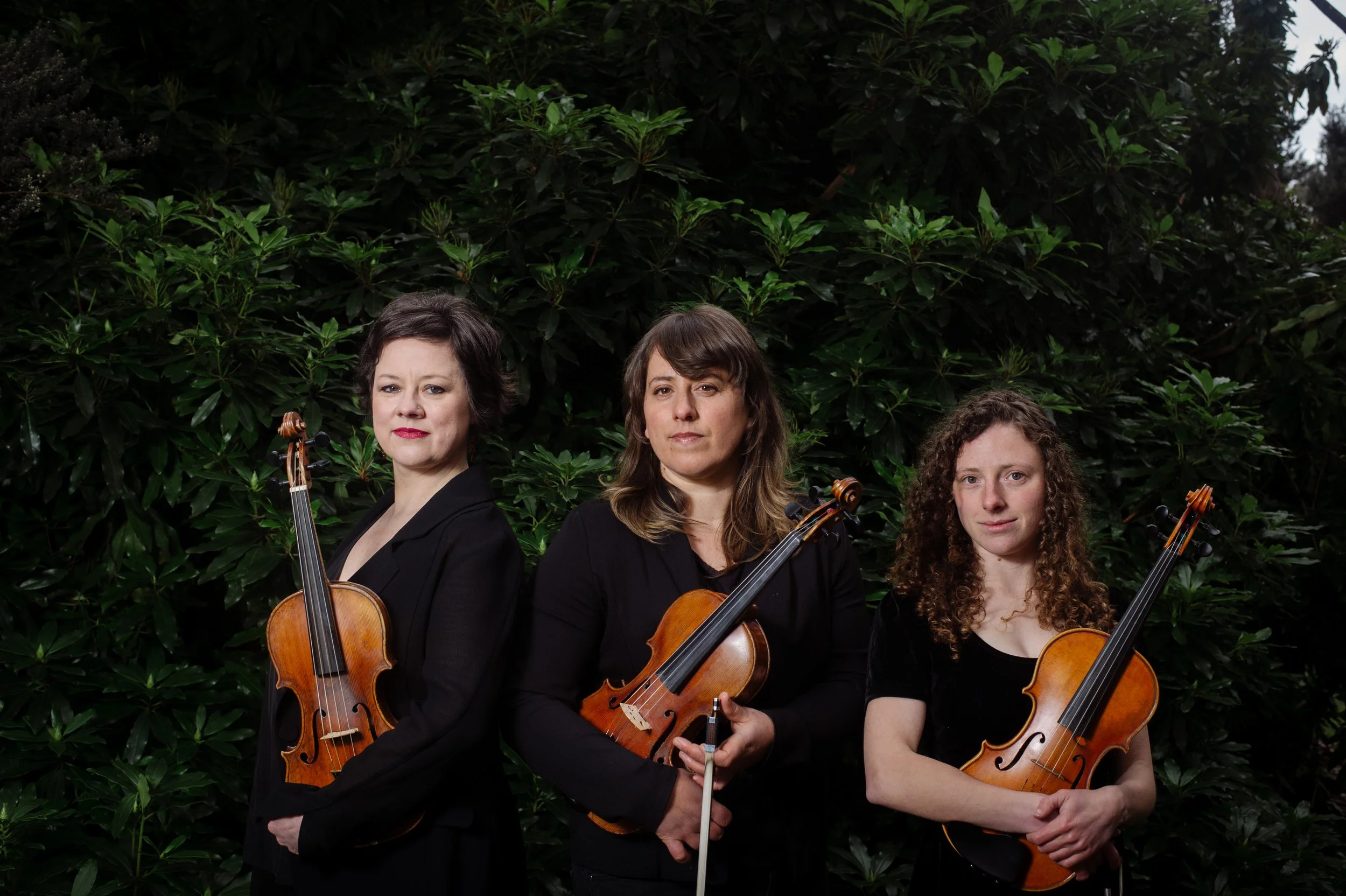 Concert 2 - Van Diemen's Fiddles