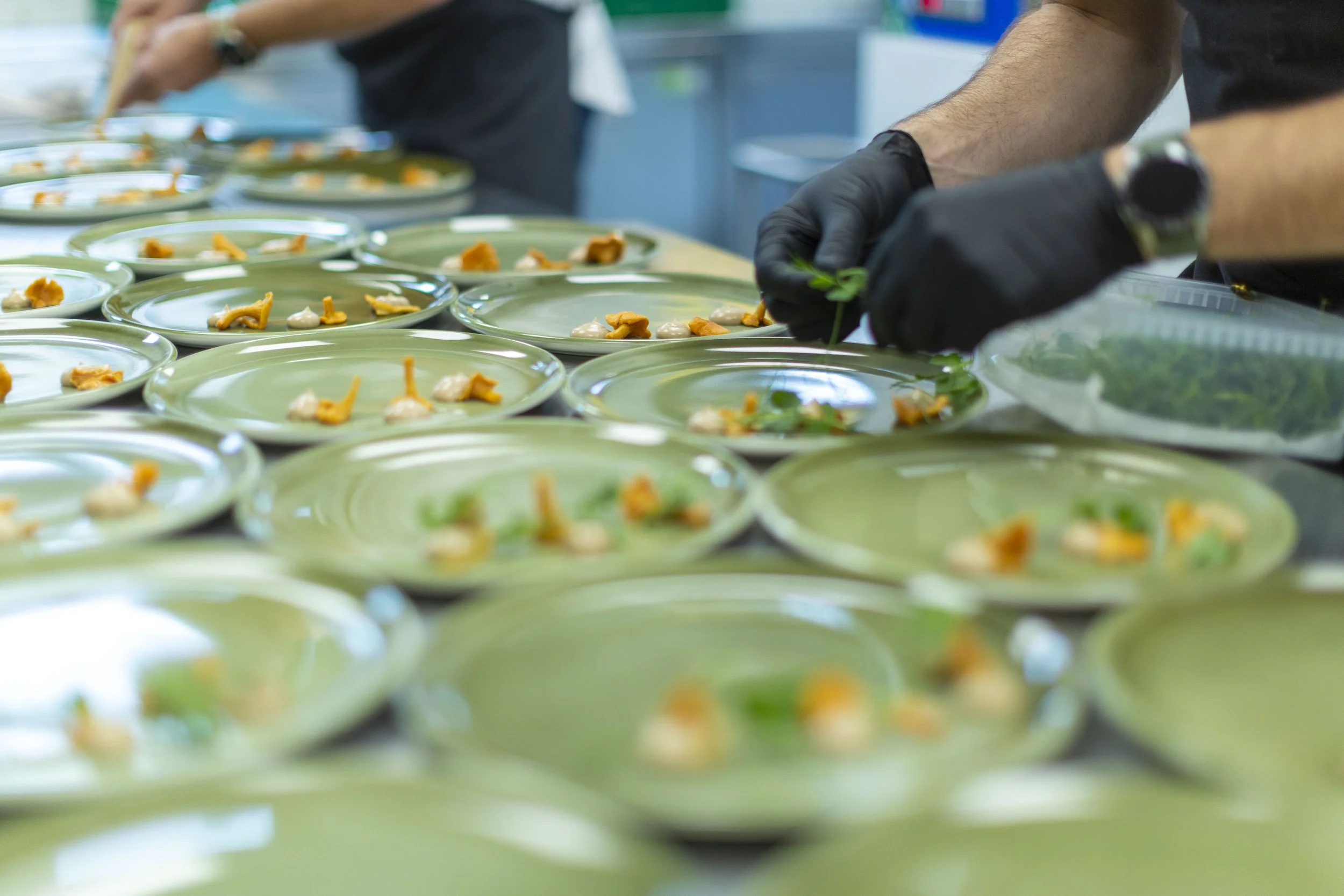 opplegg Photo by Alex Asensi.JPG