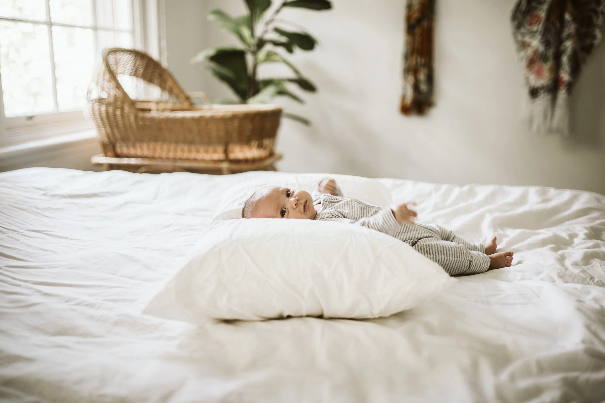 tilly on pillow-1.jpg
