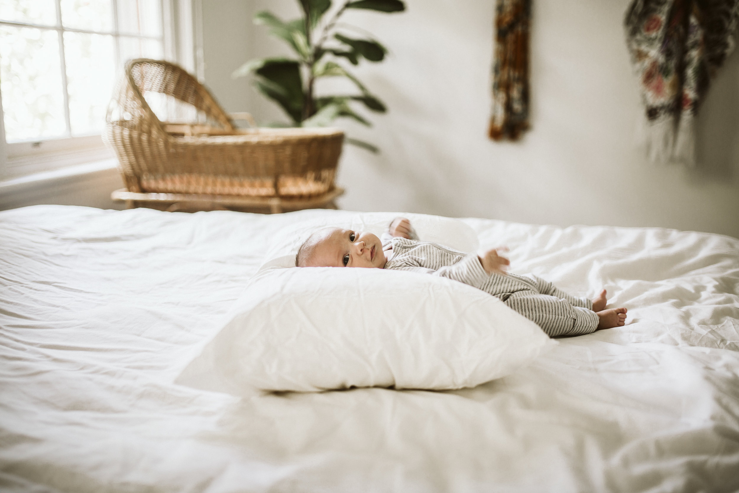 tilly on pillow-1.jpg