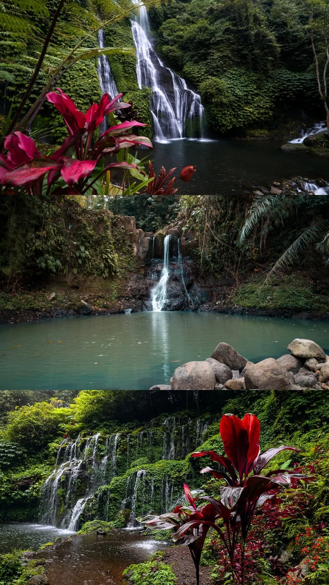 Three cascading waterfalls in lush green tropical environments with vibrant flowers in the foreground.