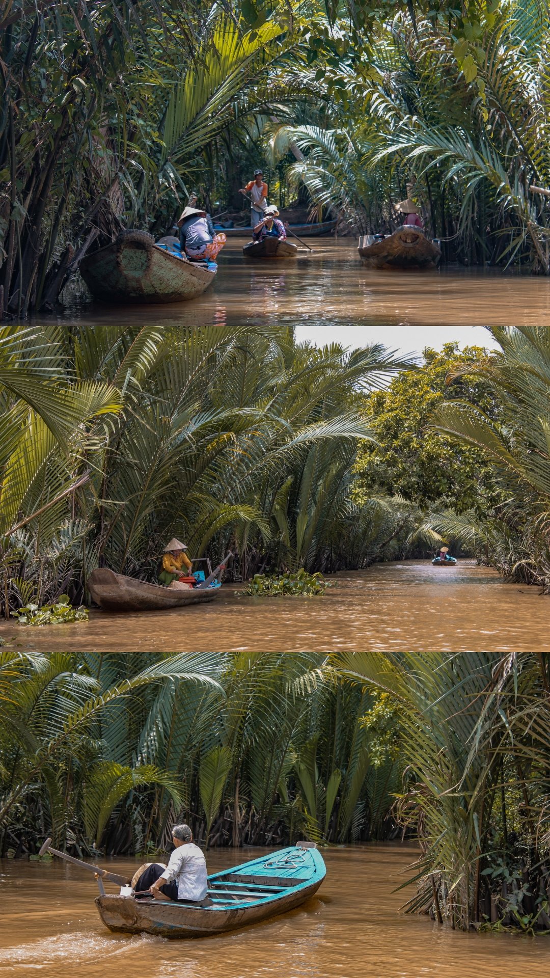 A river narrow with muddy water, surrounded by dense green tropical vegetation and palm trees, with people in small wooden boats exploring the area.