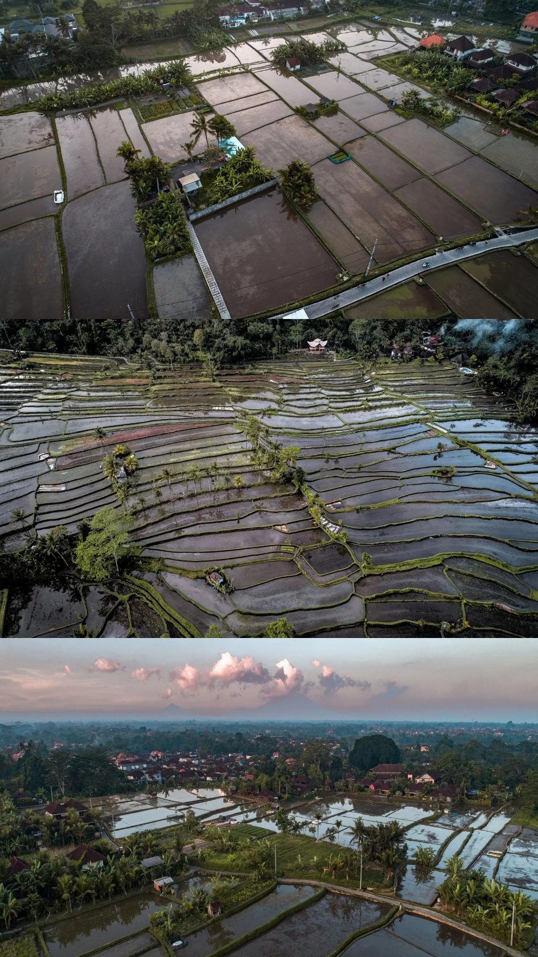 Aerial view of rice paddies in three stages: dry fields, flooded terraces, and partly submerged fields with a distant horizon and clouds.