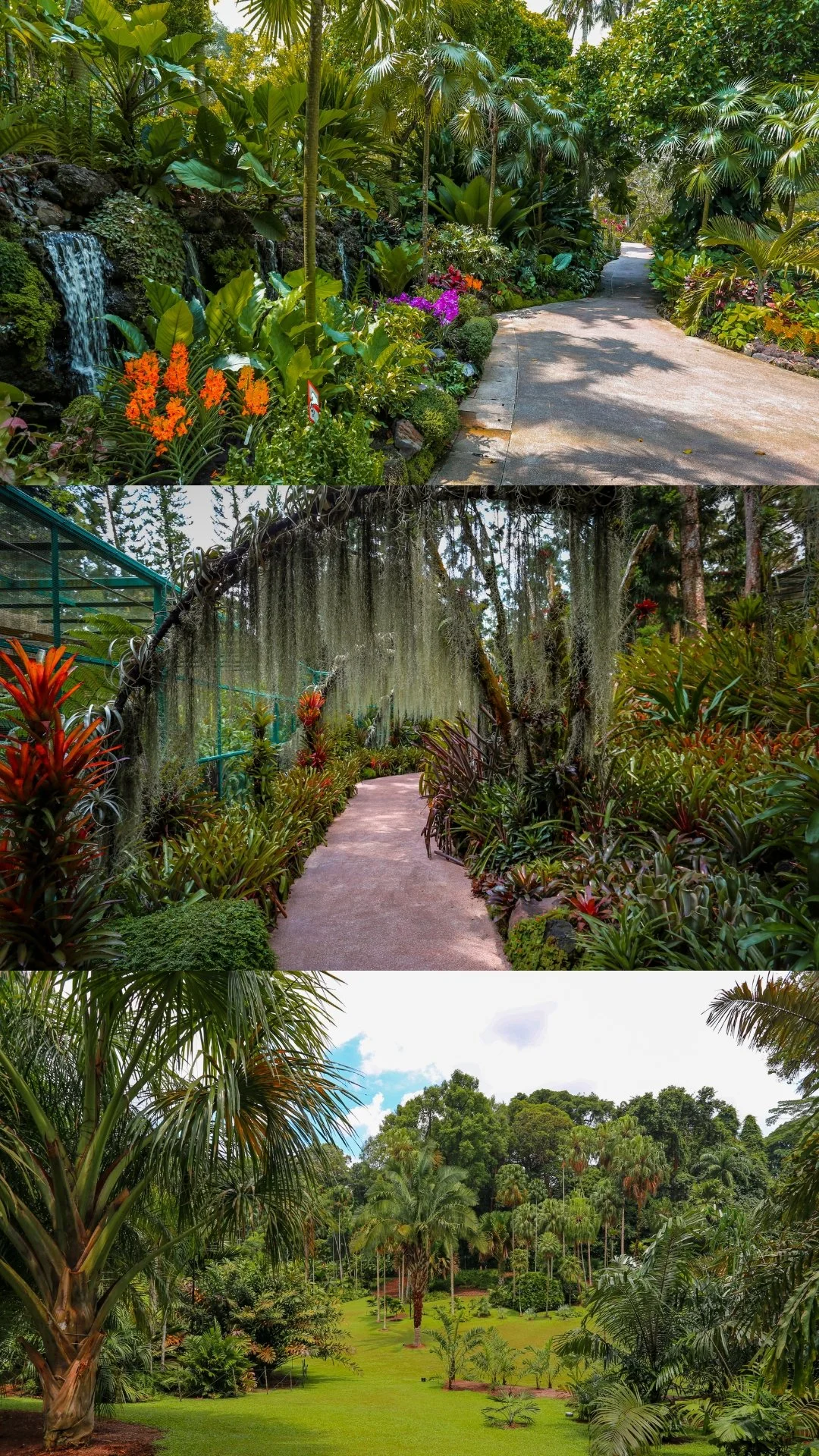 Three different views of lush, tropical gardens with diverse plants, trees, and pathways.