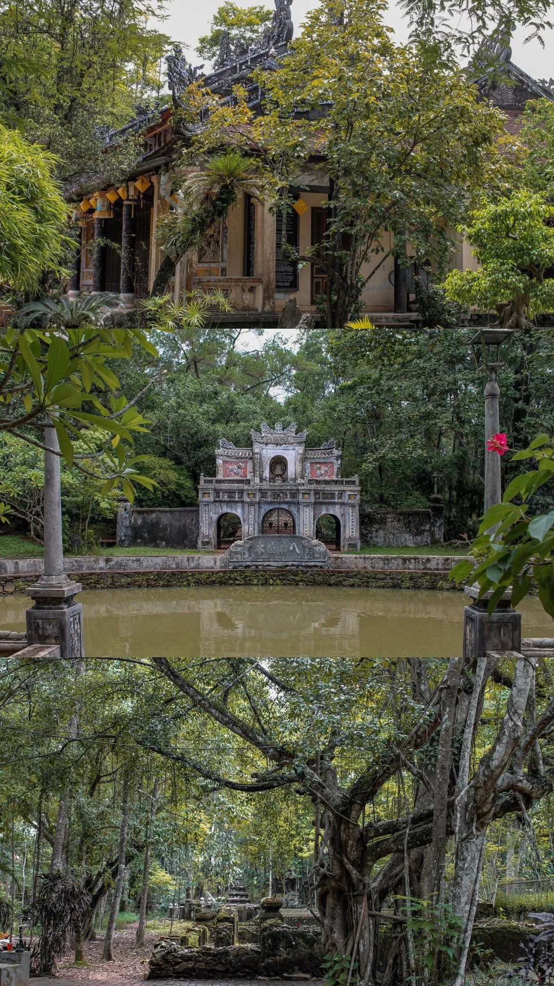A collage of three different scenes: the top shows a traditional Southeast Asian temple surrounded by trees; the middle depicts a stone shrine with steps and a pond in front, with lush greenery and a cloudy sky; the bottom features a dense, green forest with old trees and stone ruins.
