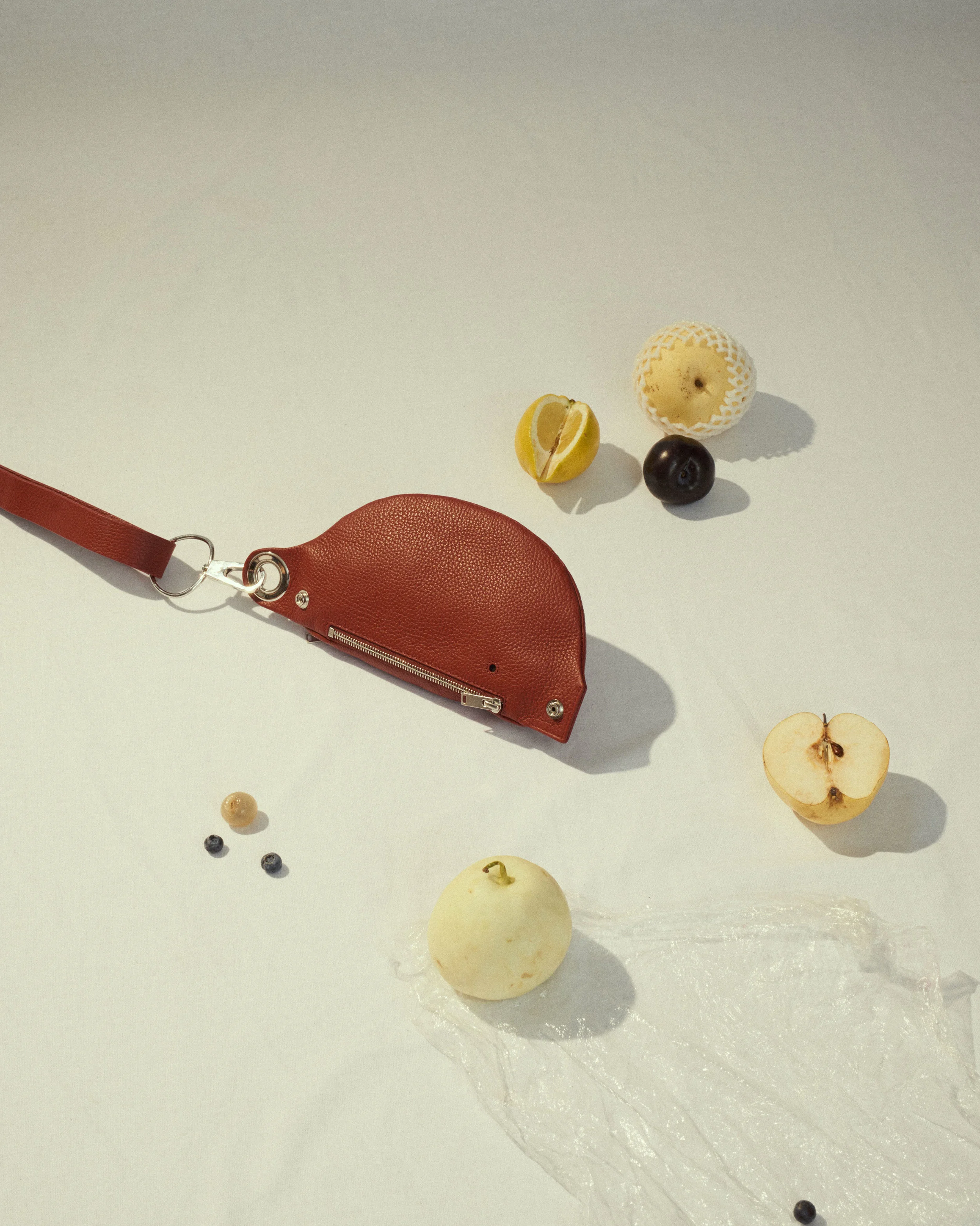 Martes-still-life-215847.jpg