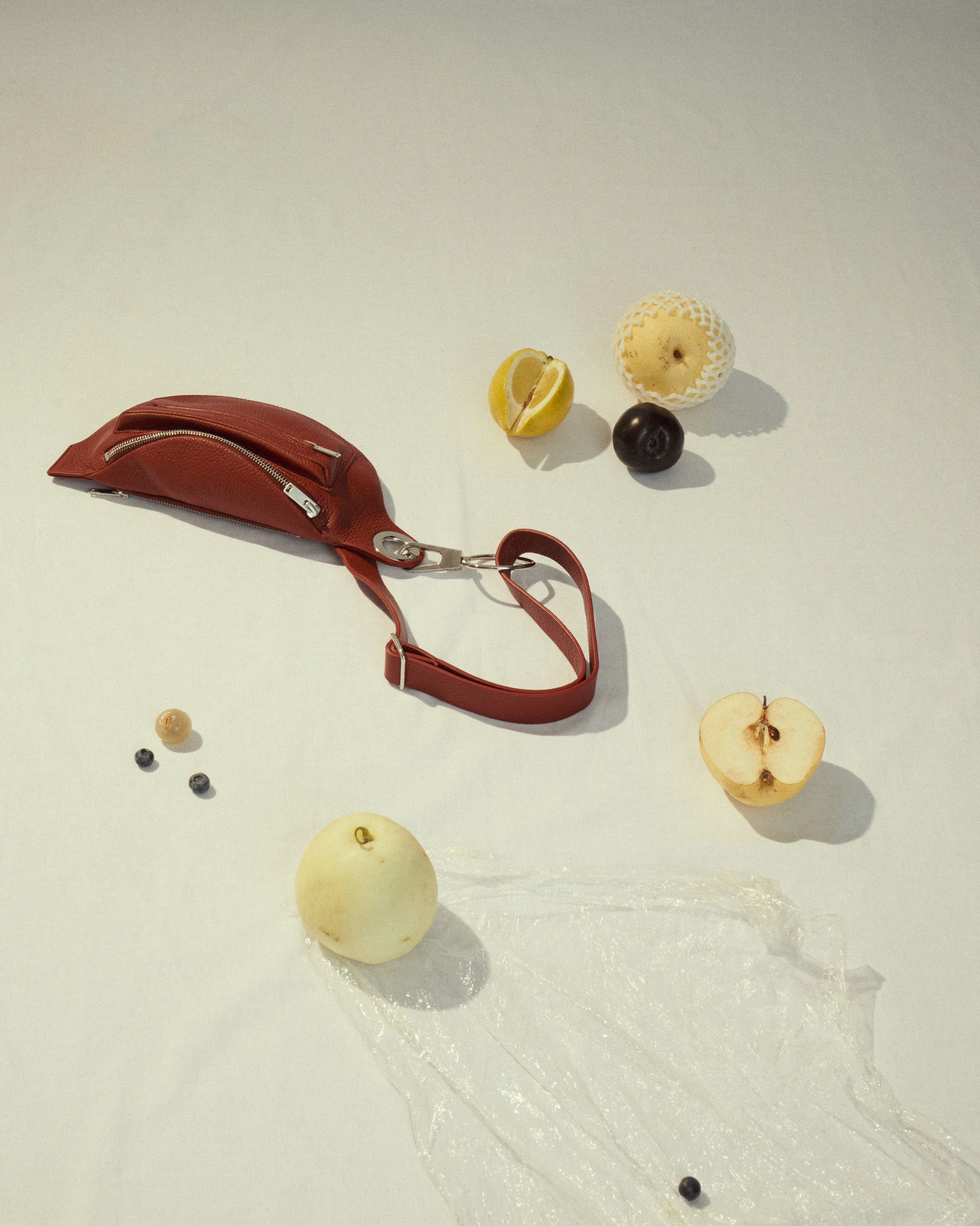 Martes-still-life-215849.jpg