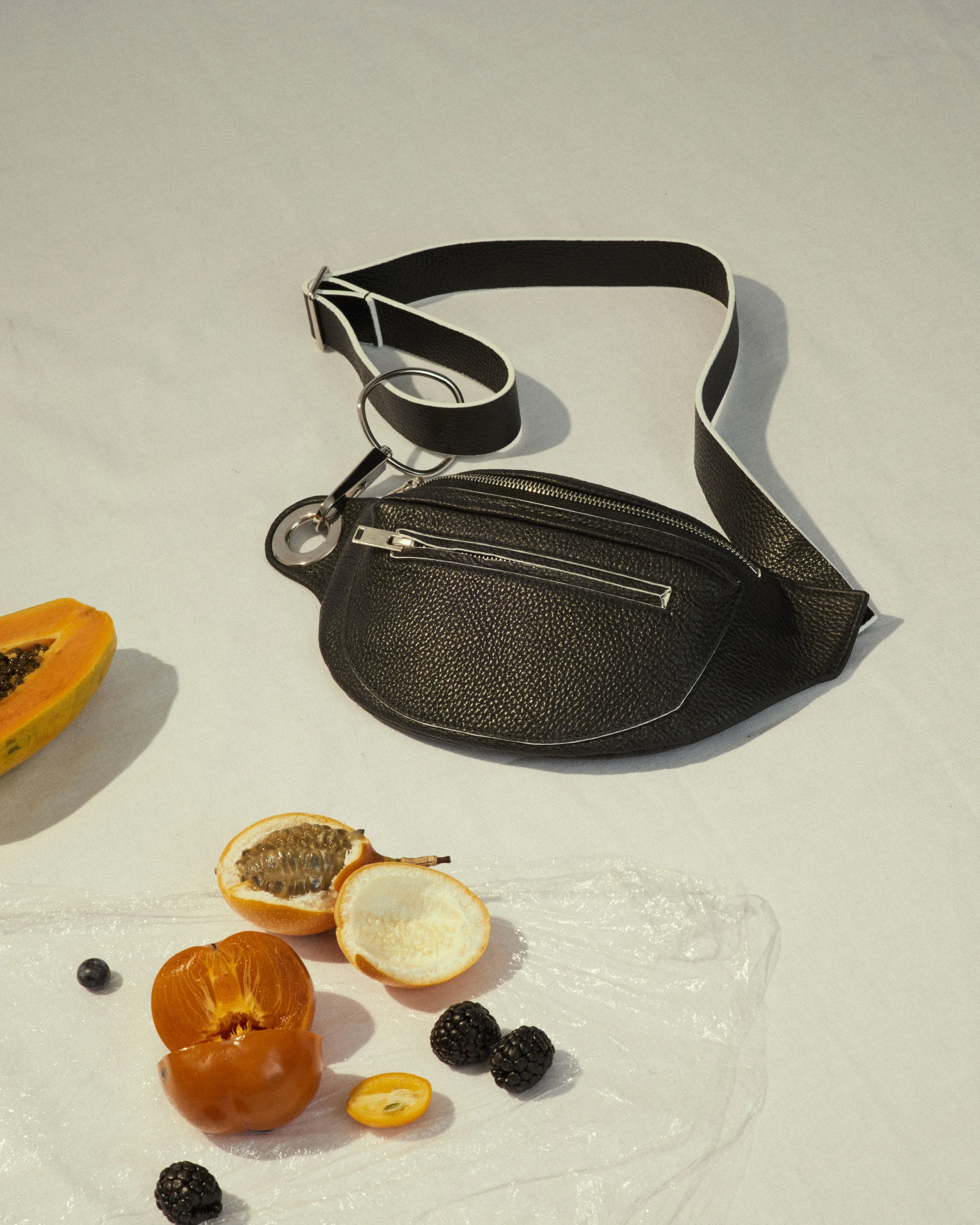 Martes-still-life-215767.jpg