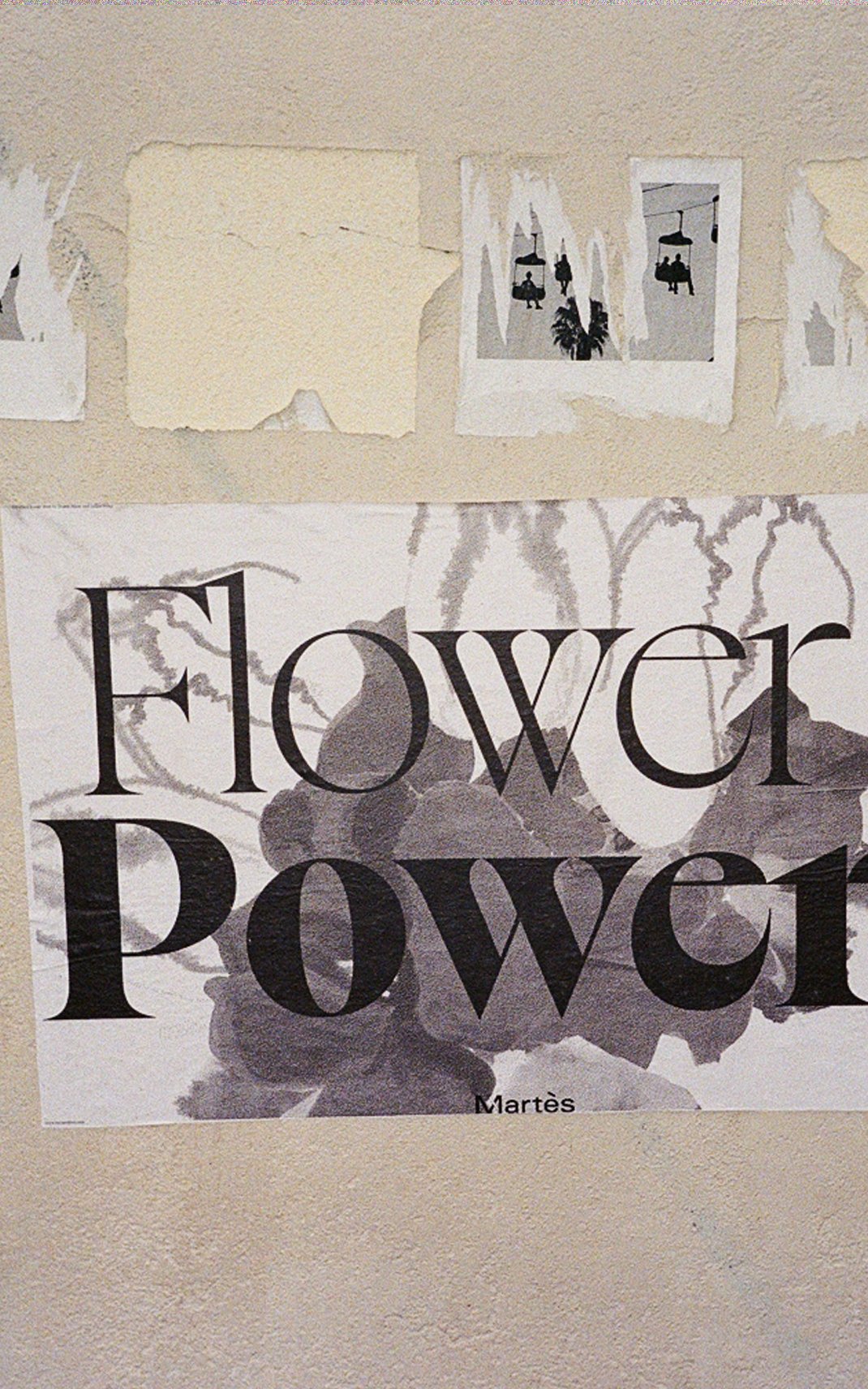 POSTER FLOWERS 2.jpg