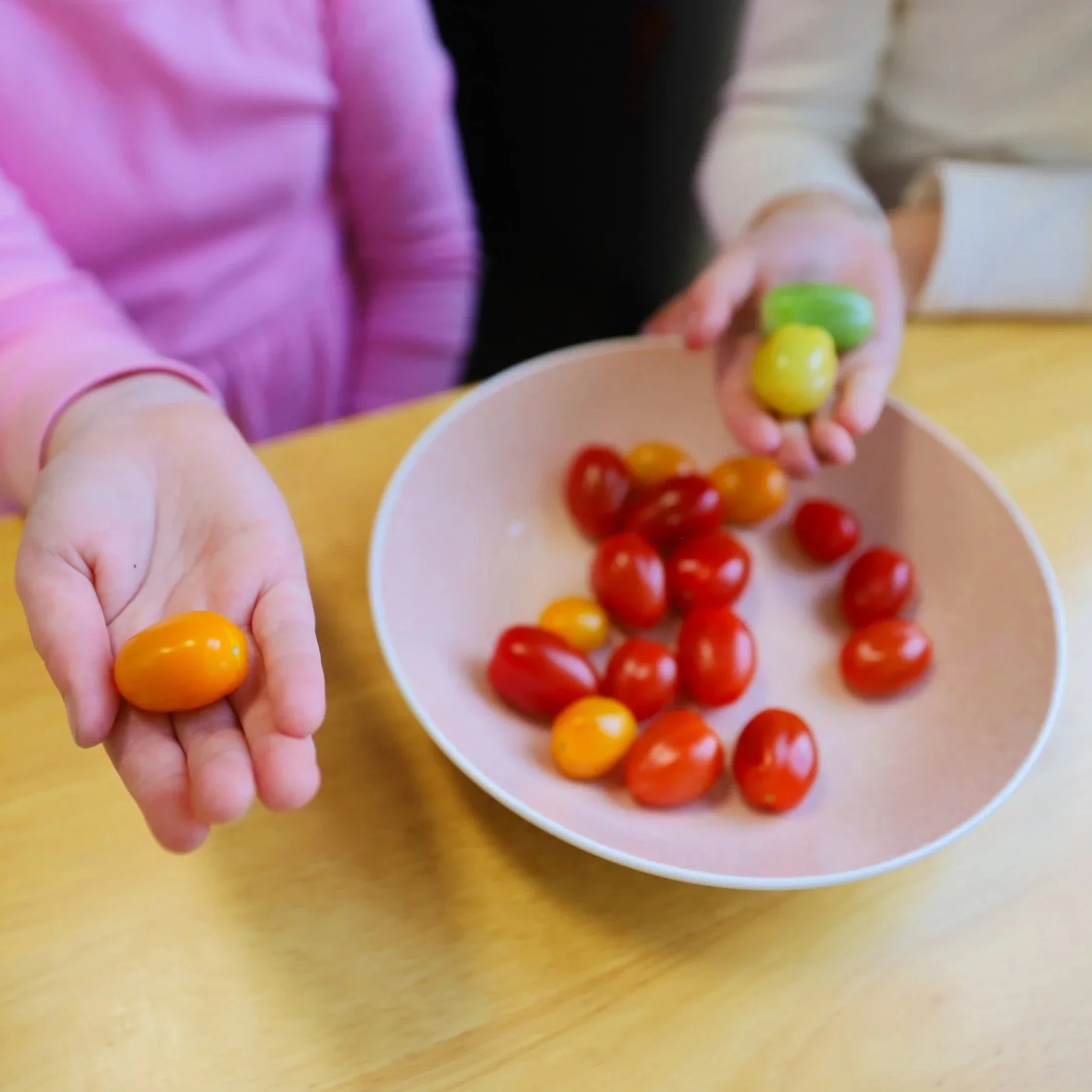 Children holding cherry tomatoes and bowl of cherry tomatoes