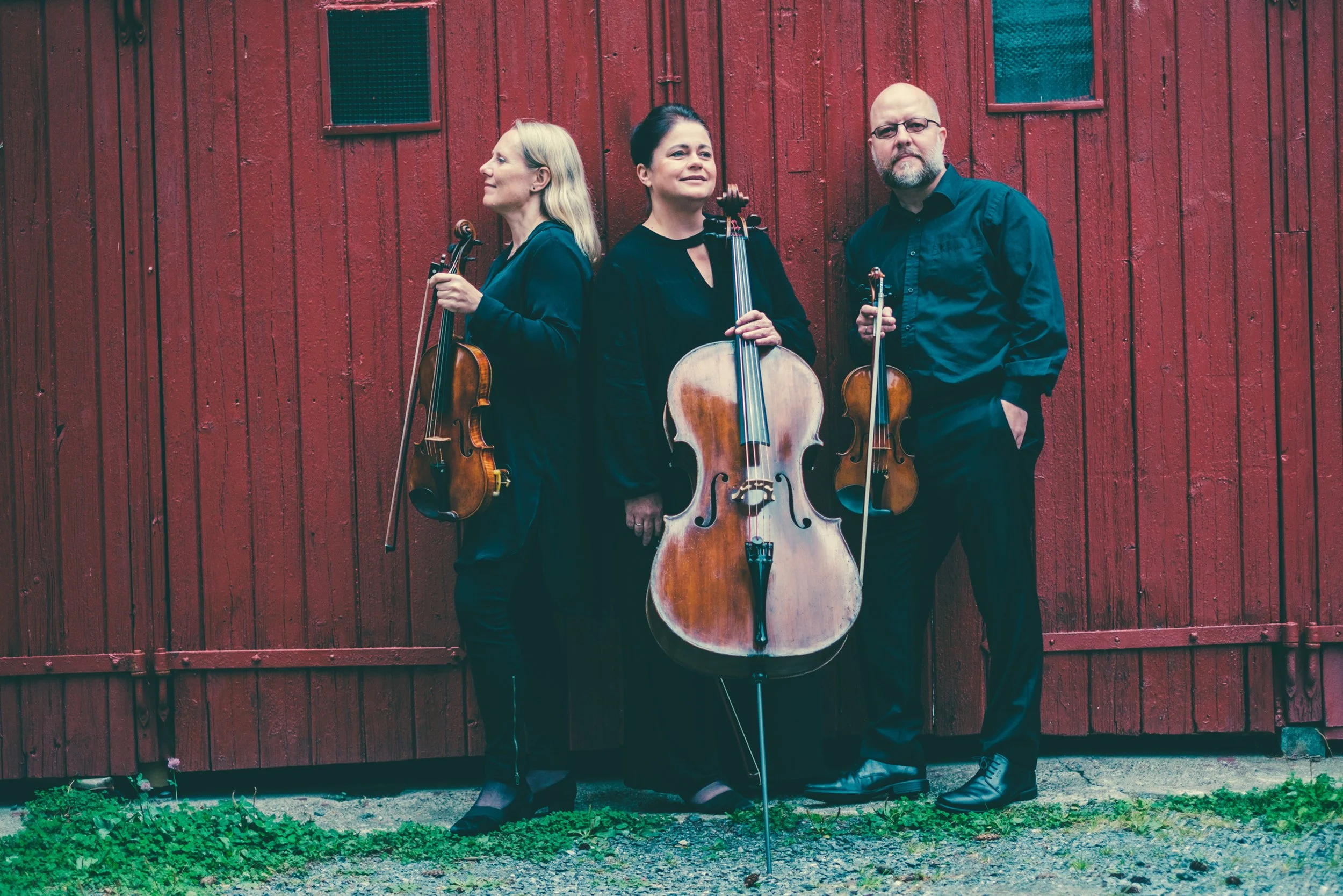 ENGLISH — SsENS TRIO