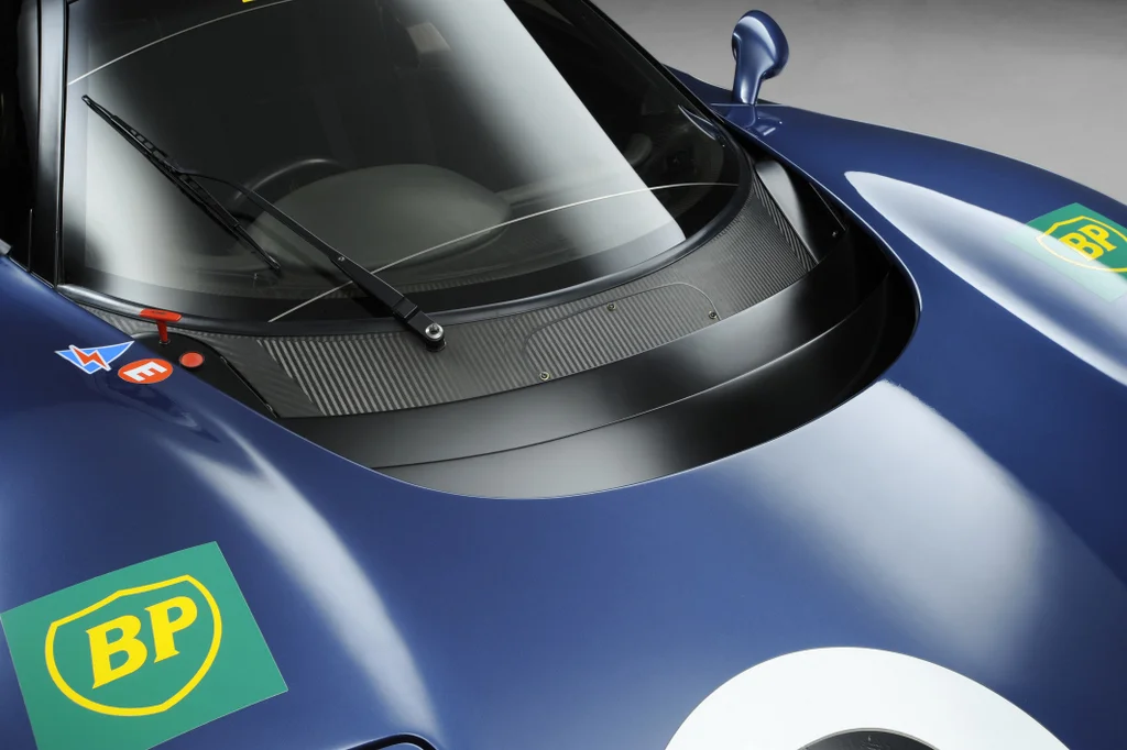 bonnet_12322.jpg