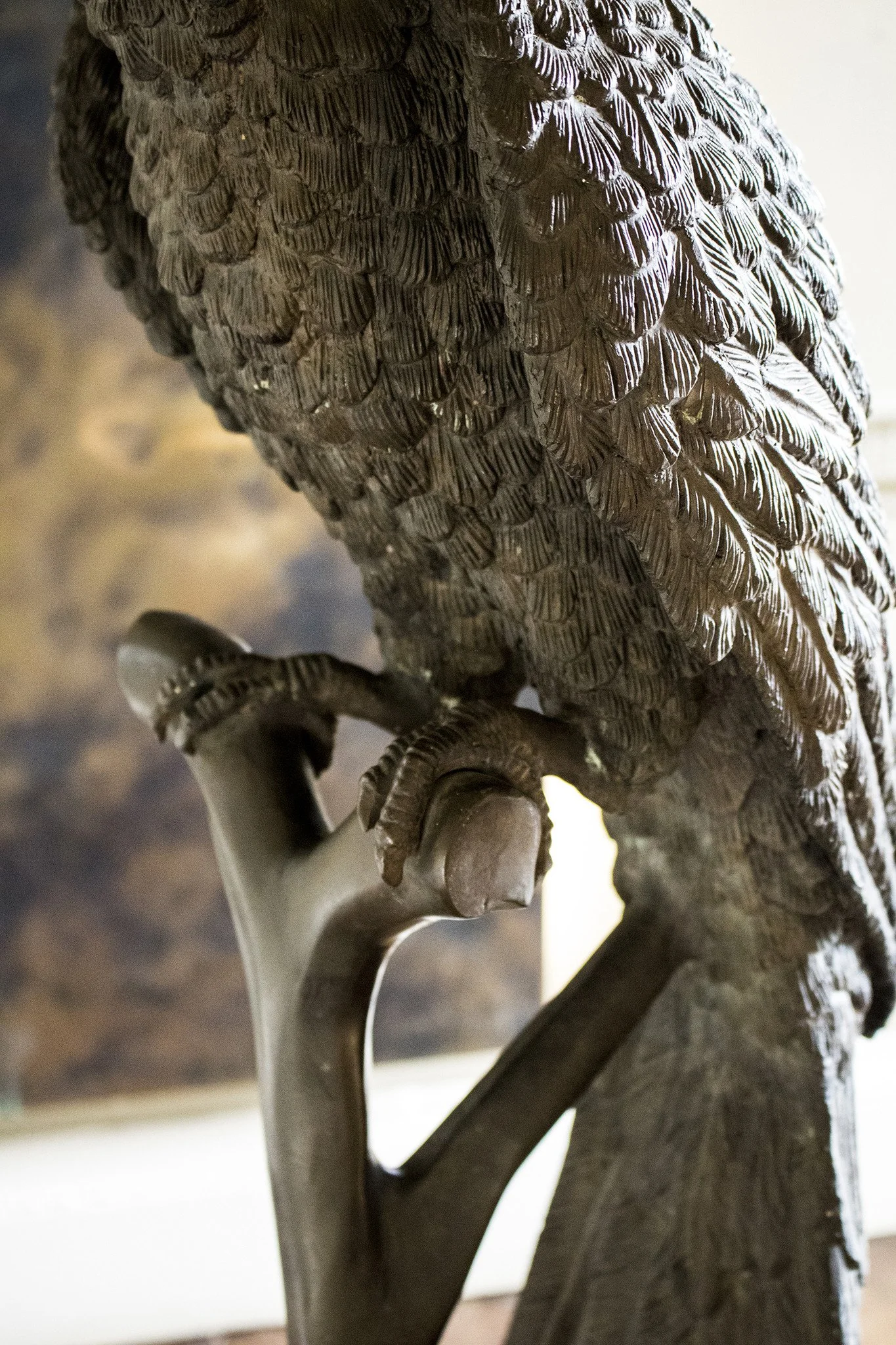 BronzeParrot4_2048x2048.jpg