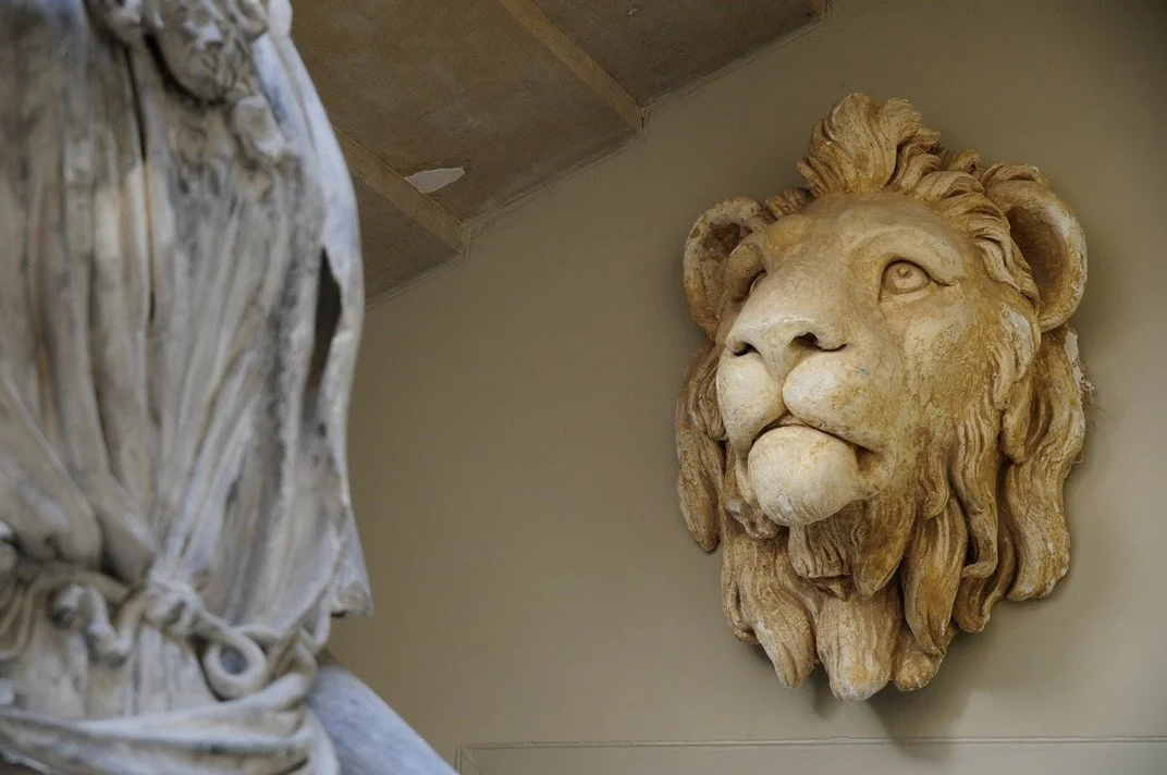 Lion_Mask_2048x2048.jpg