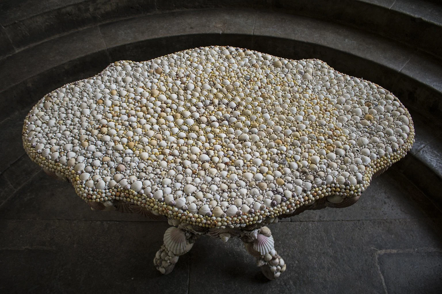 Shelltable8_2048x2048.jpg