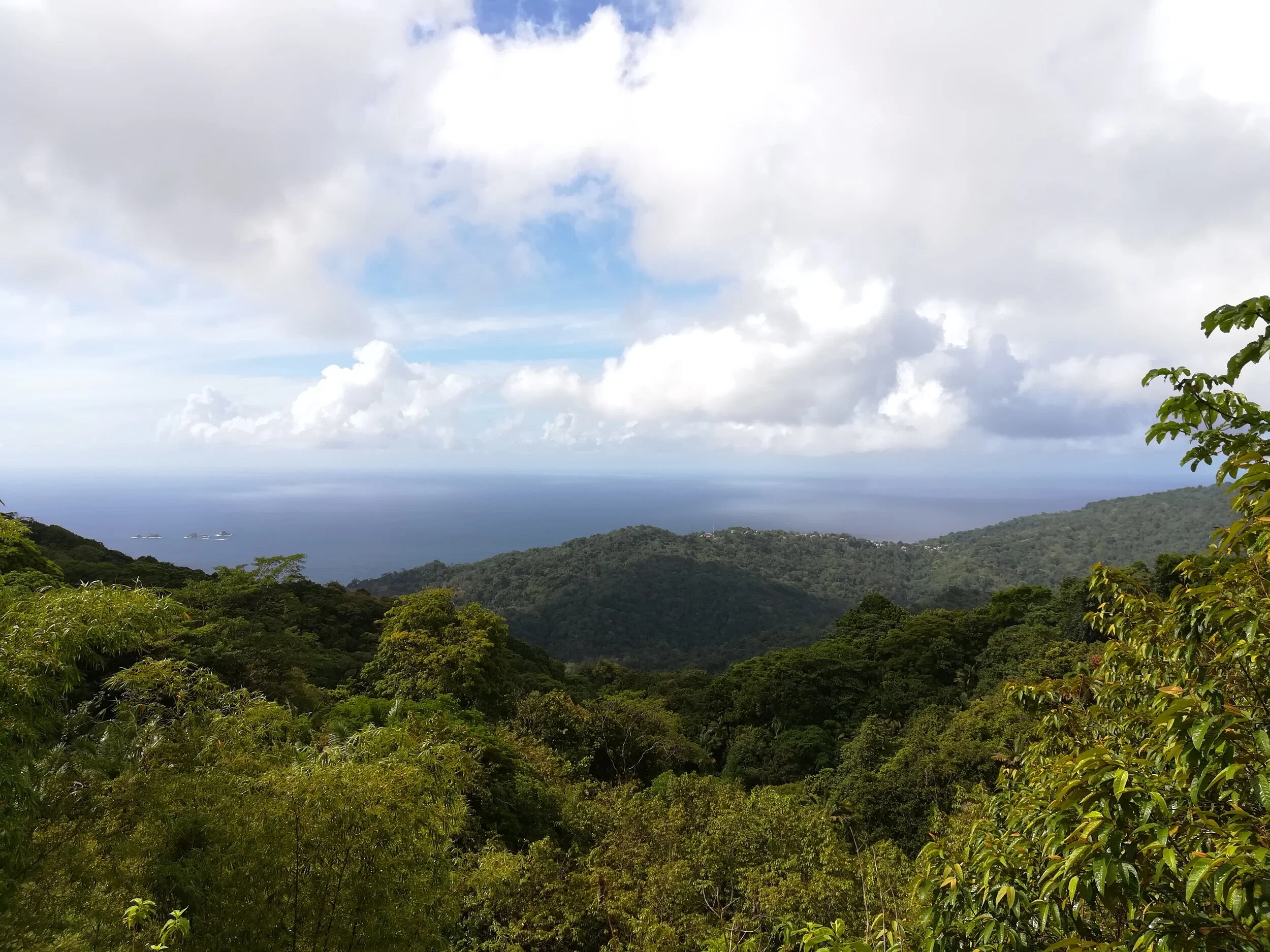 Anse Fourmi Village from Rainforest Reserve.jpg