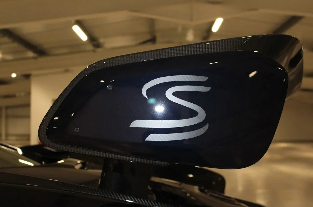 senna3.jpg