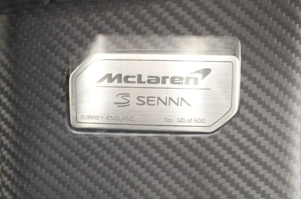 senna10.jpg