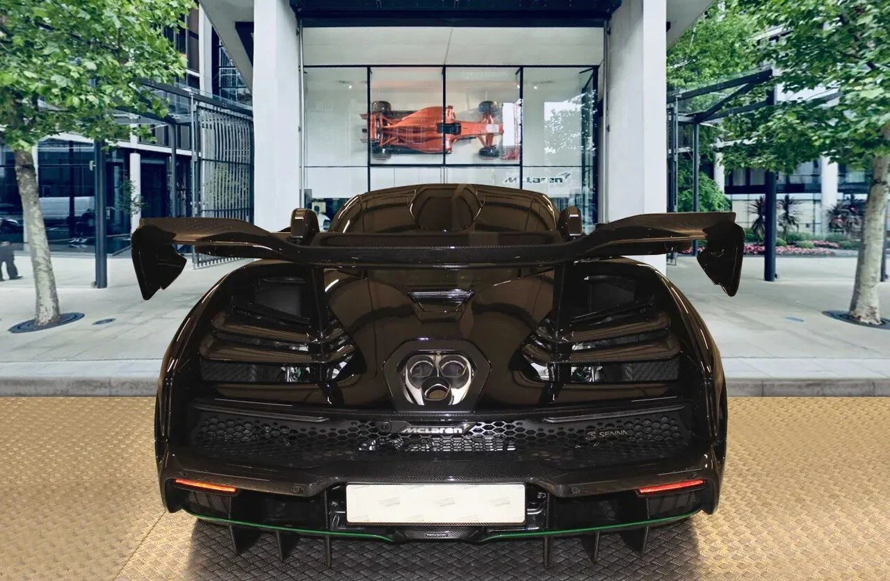senna11.jpg