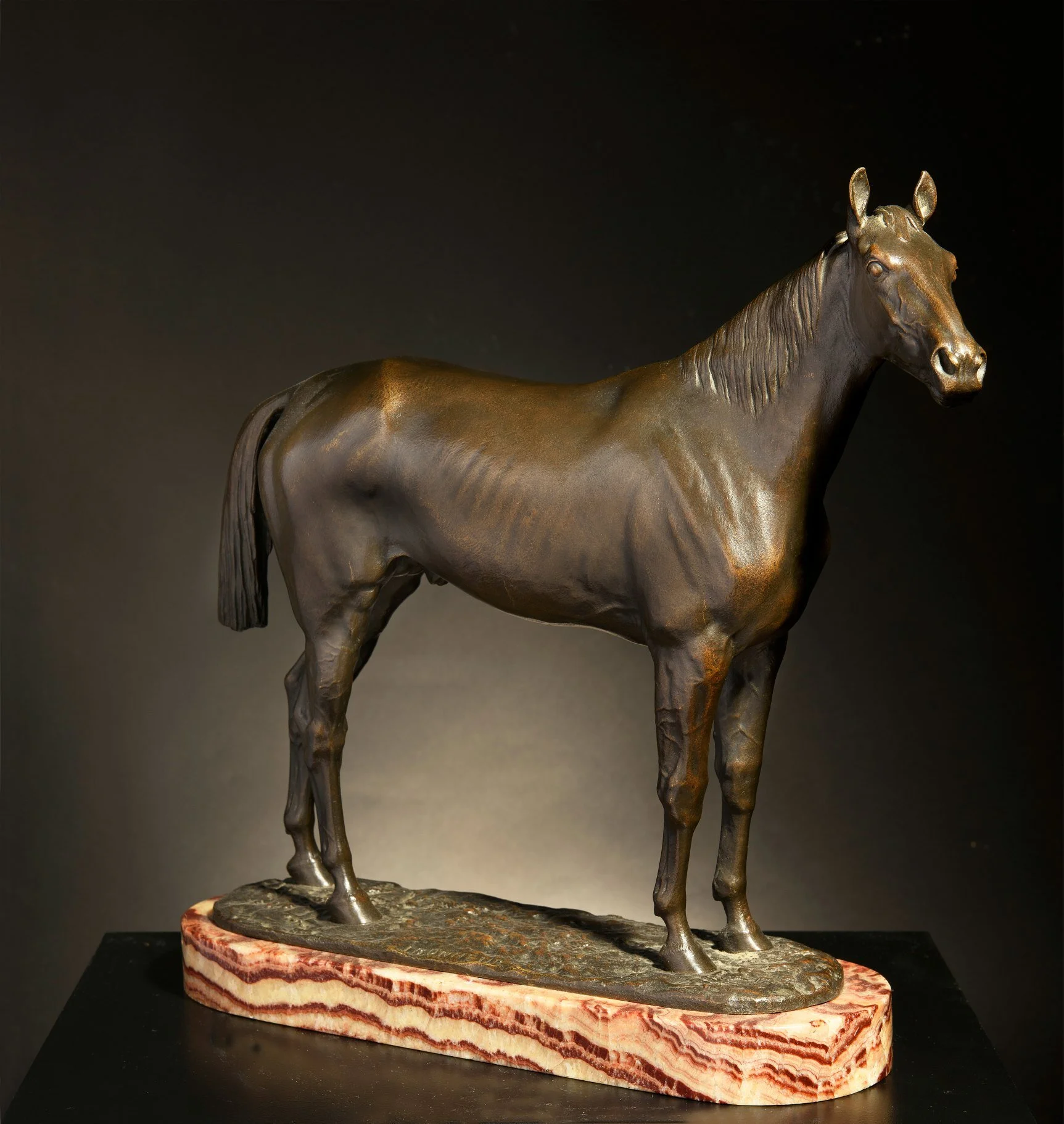 5537-Bonheur-web-1.jpg