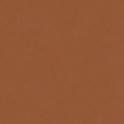 629435.jpg