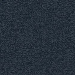 629599.jpg