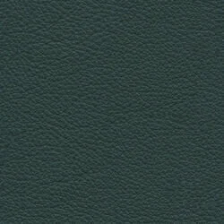 629600.jpg