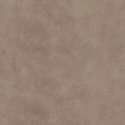 373201.jpg