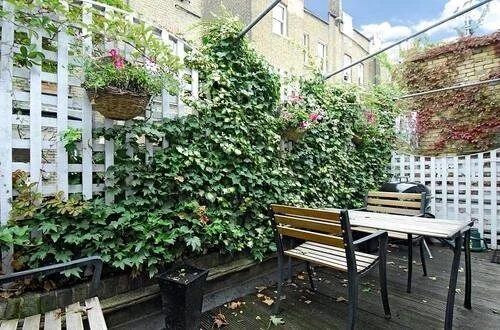 13RolandWay+Terrace..jpg
