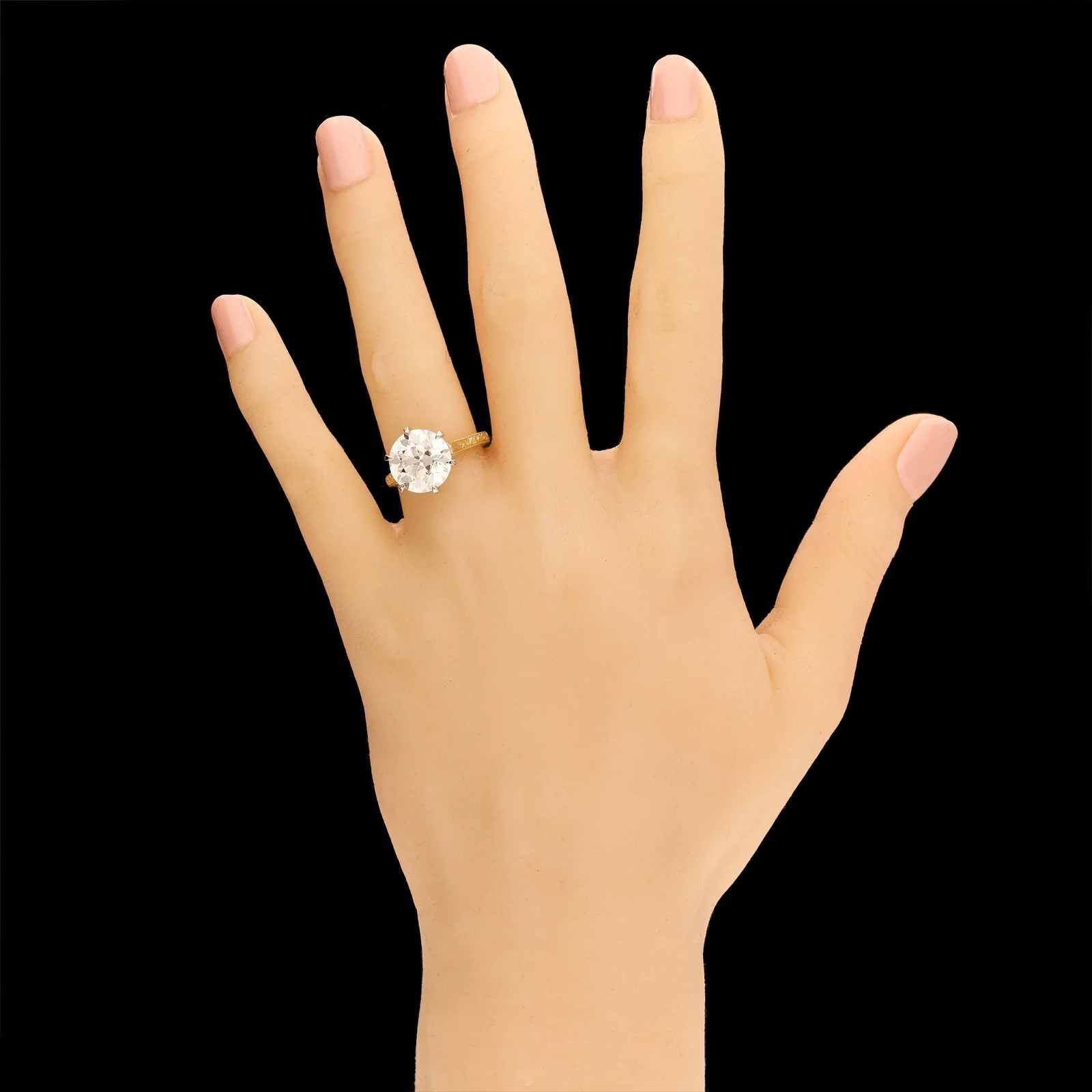 RNG124818-6.jpg