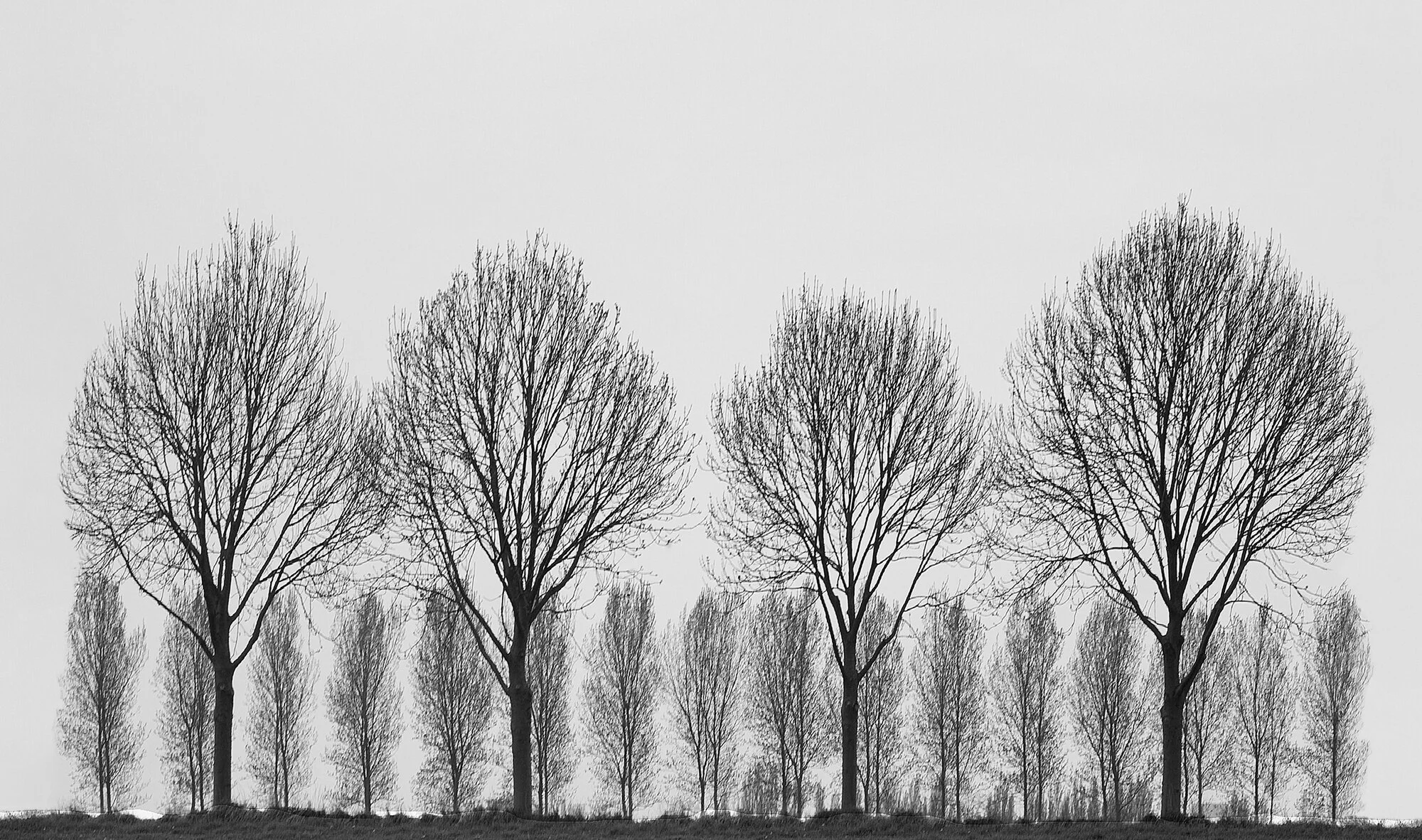 West of Ostend Study 2, Belgium, 1984 by Charlie Waite - LIMITED EDITION (Copy)