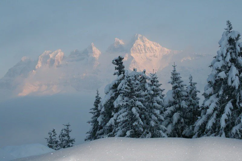 winter view.jpg