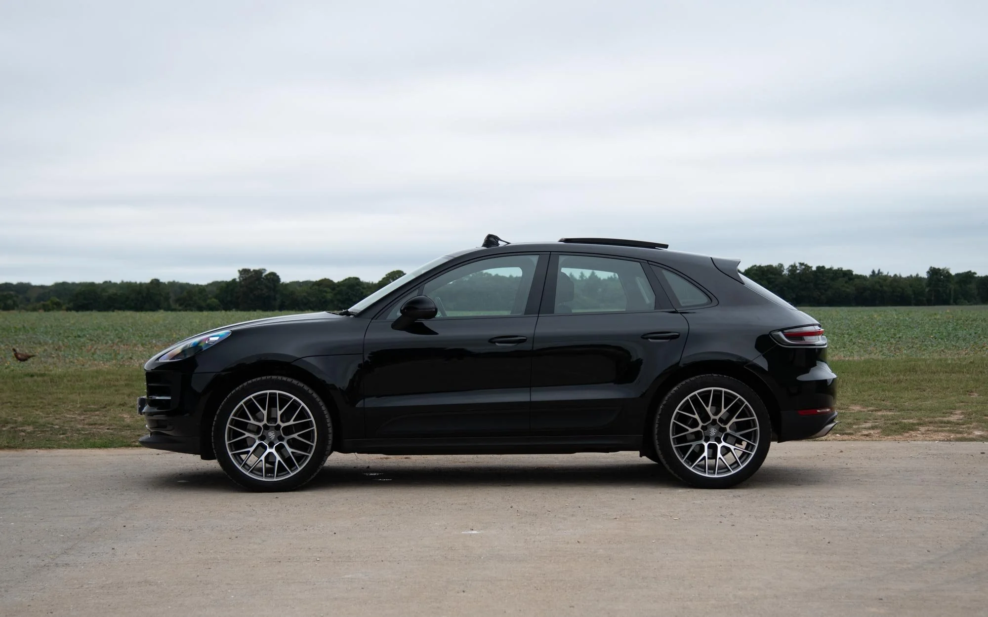 Macan-NXH-5.jpg