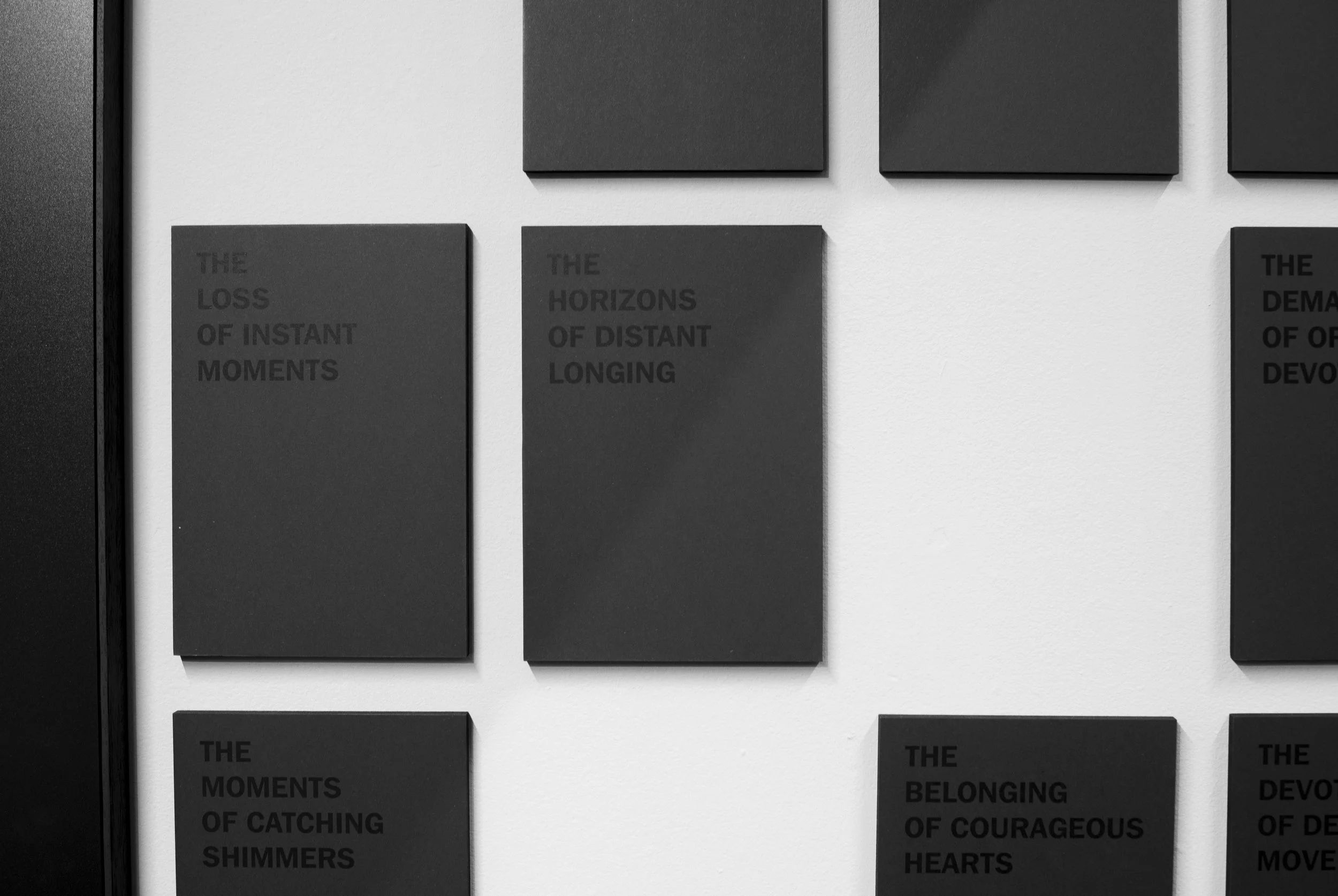 DSC_8544_9.jpg