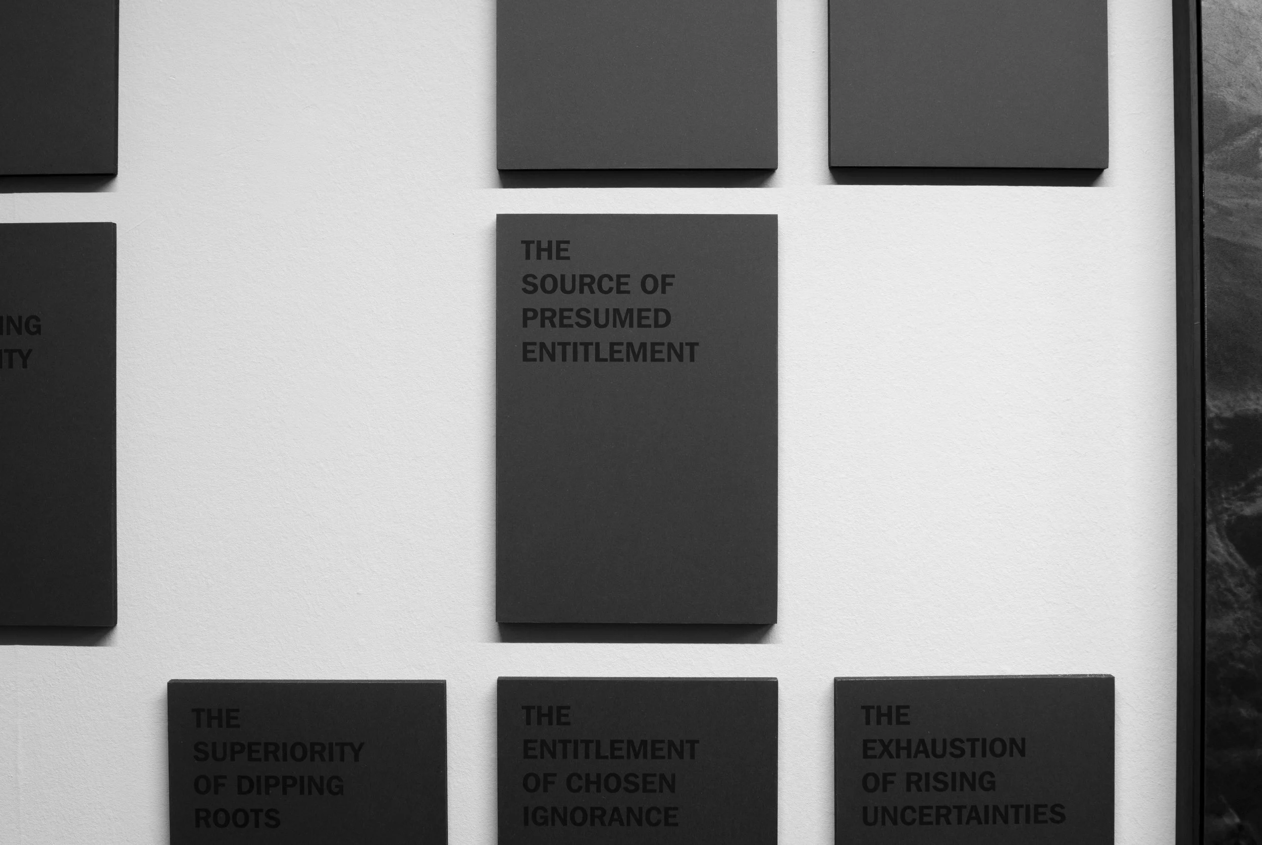 DSC_8544_7.jpg