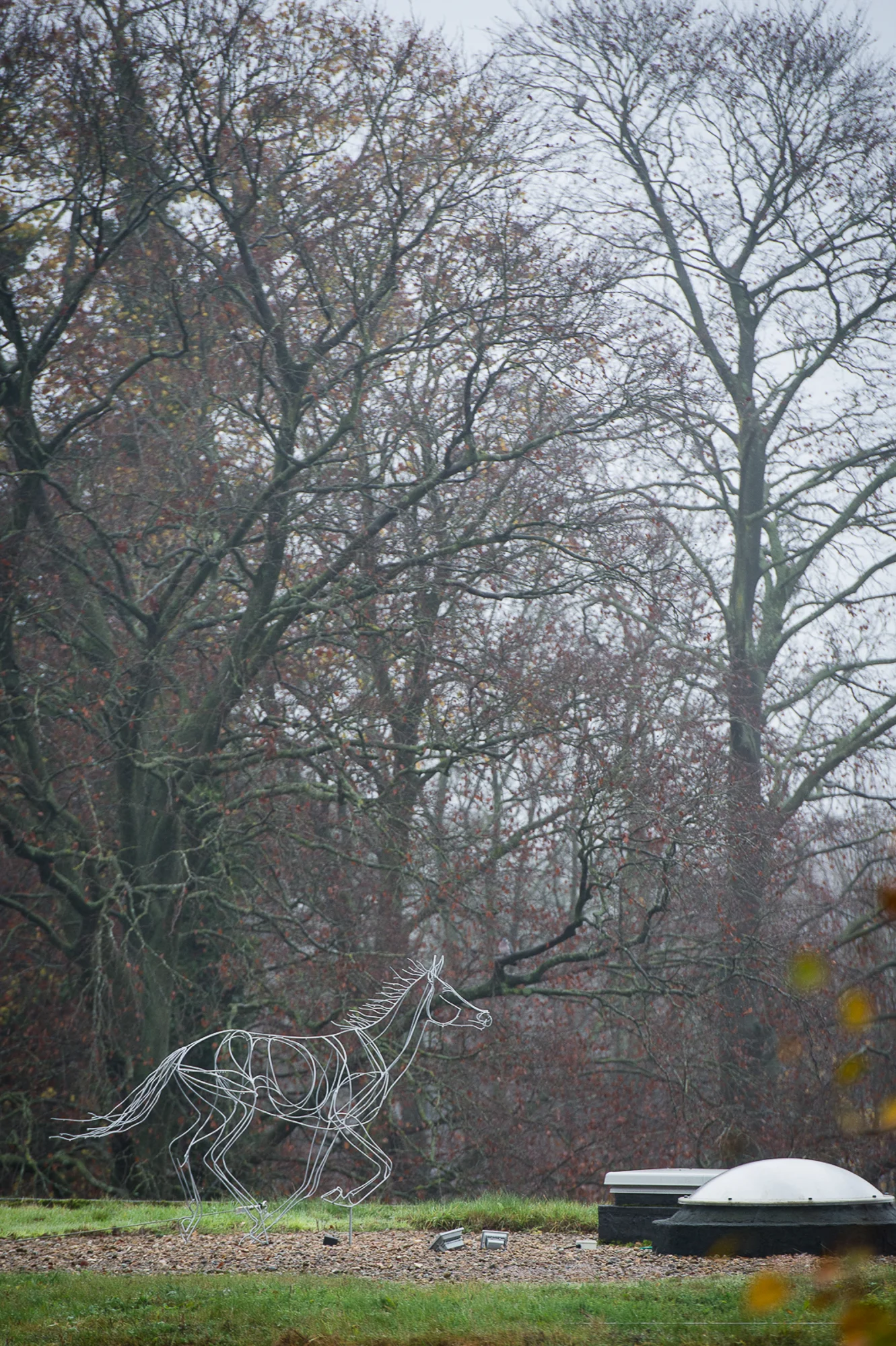 DSC_5915.jpg
