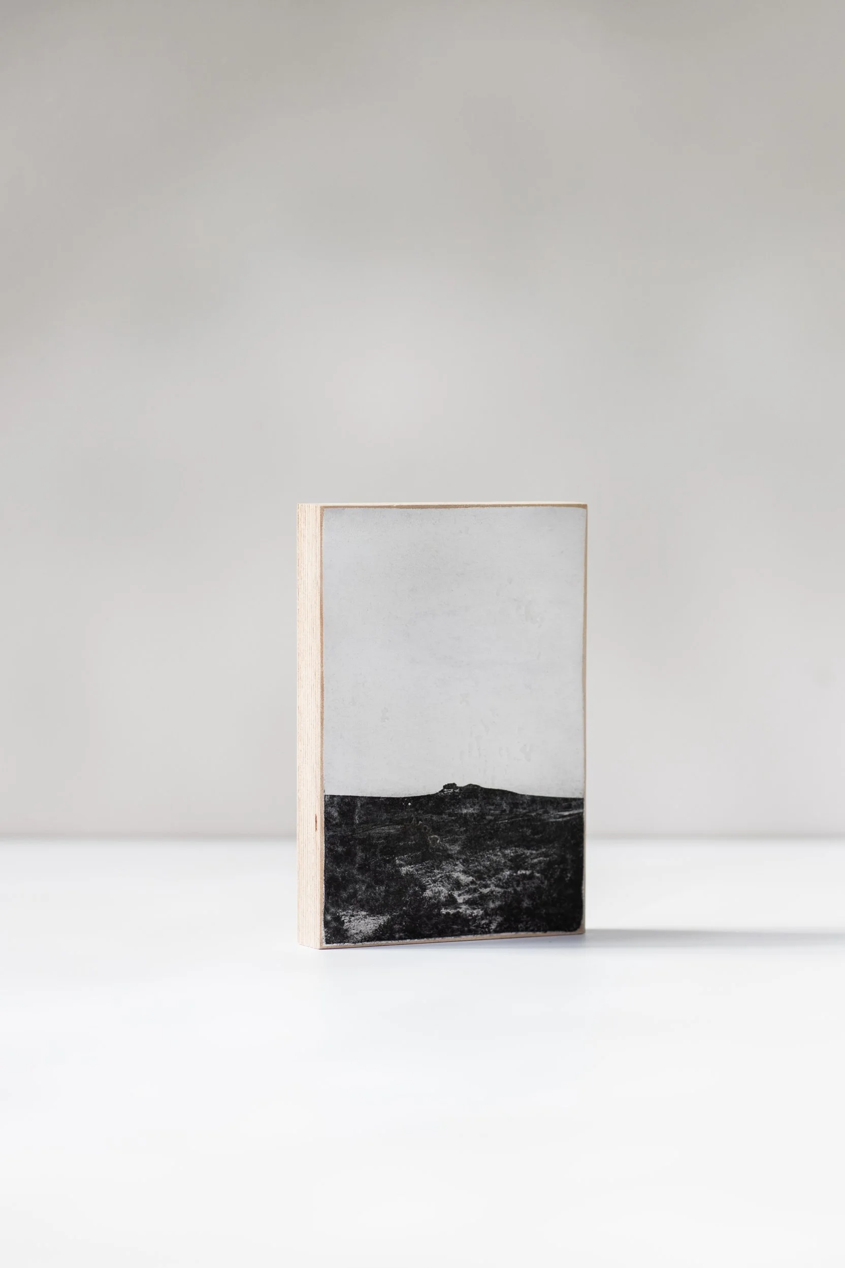 01B_ Rippon Tor-4P.jpg