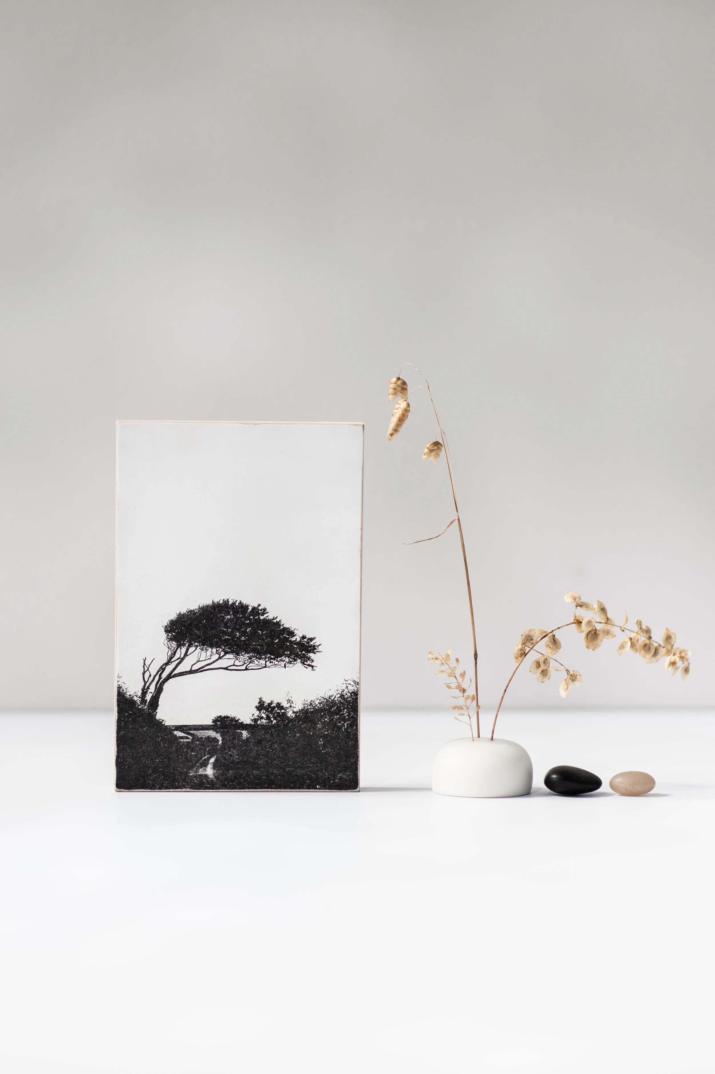 01T_ The Welcome tree-2(P).jpg