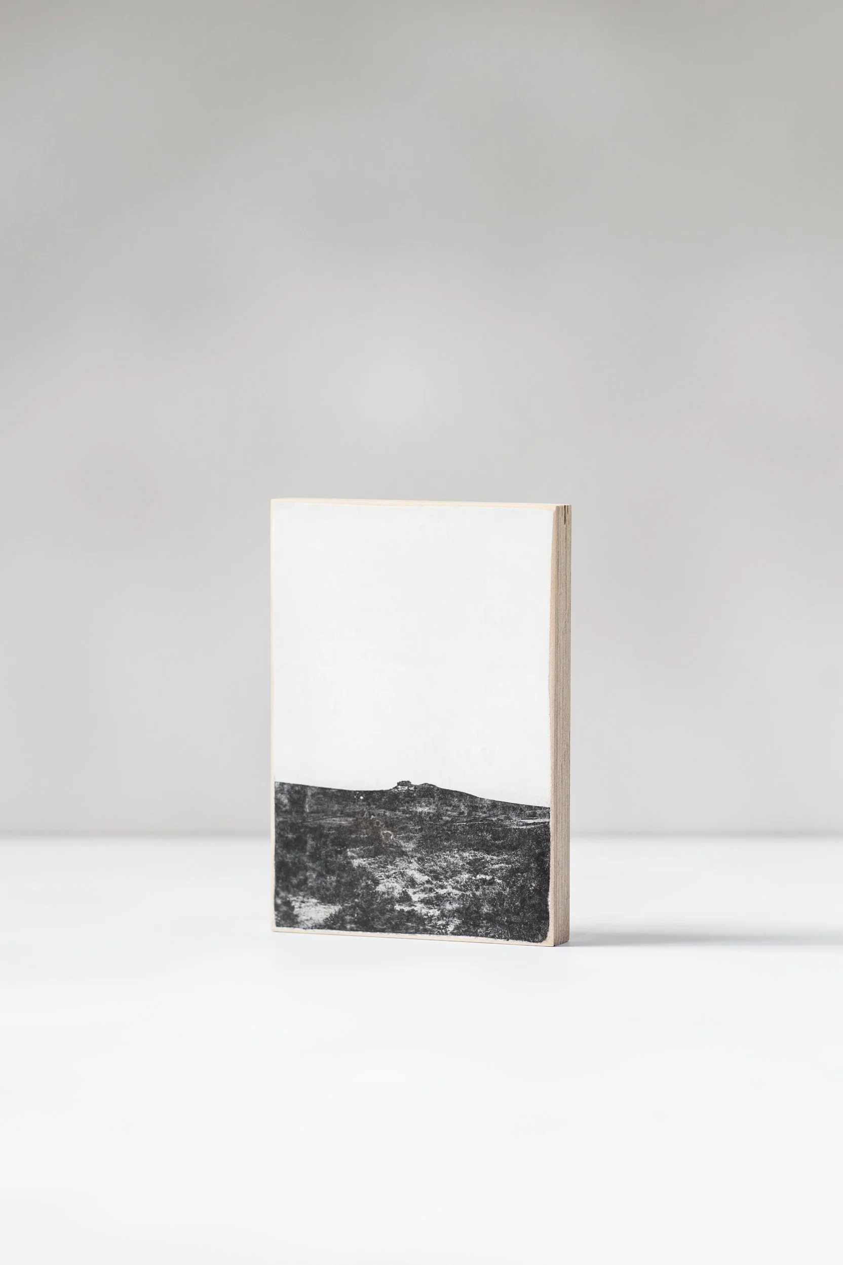 01B_ Rippon Tor-3P.jpg