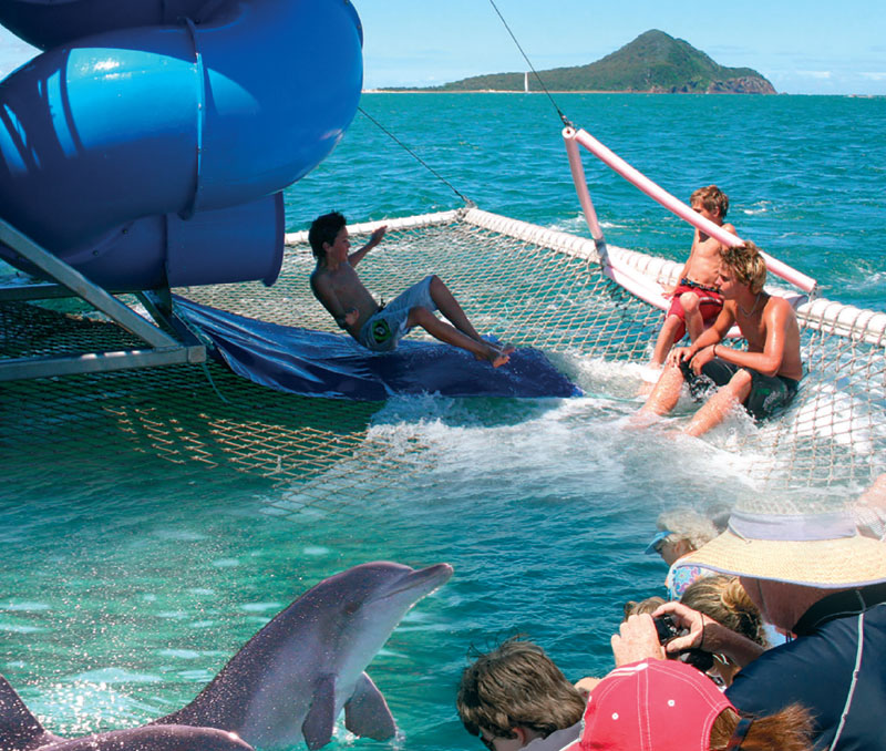 dolphin-discovery-cruise.jpg