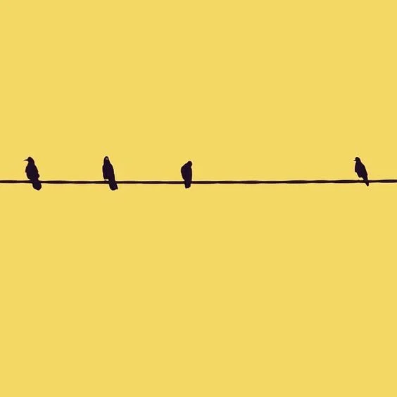 bird-1.jpg