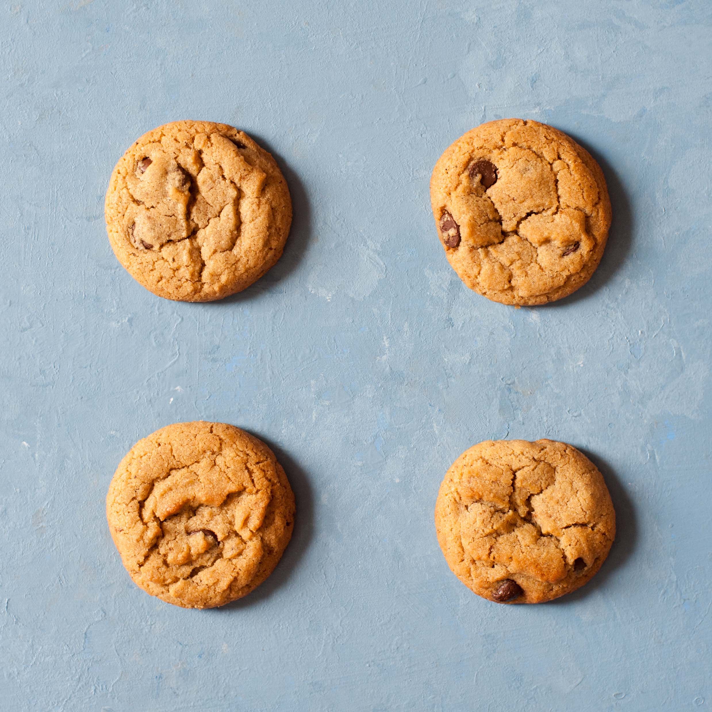 spiced-tahini_carmens-cookies_sqsp-1.jpg