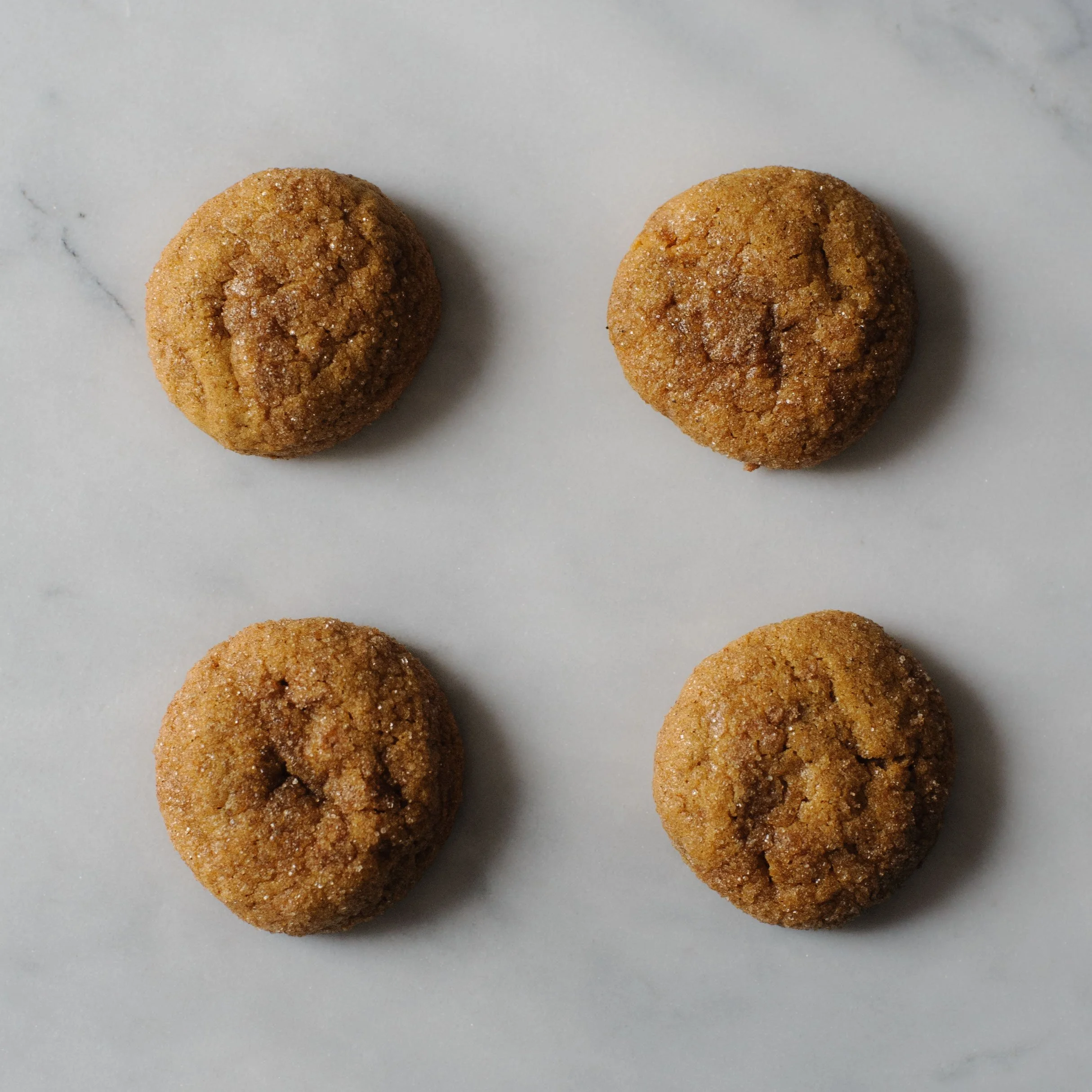 carmens-cookies_pumpkin-snickerdoodle_0022.jpeg
